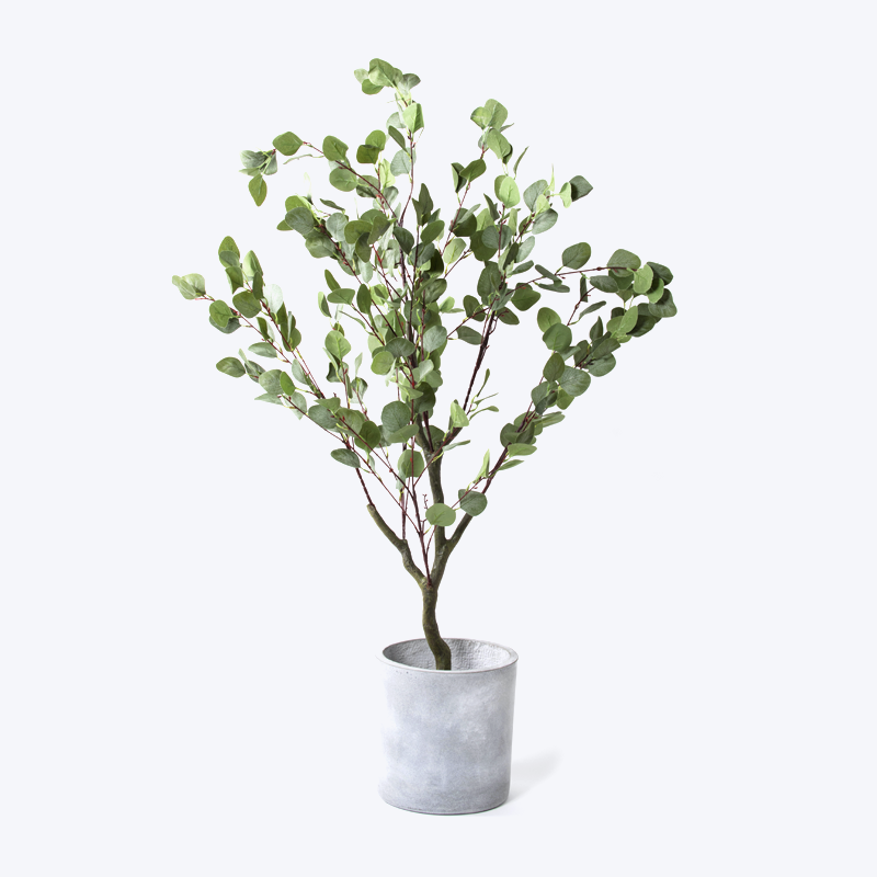 Chậu cây xanh giả Eucalyptus-s