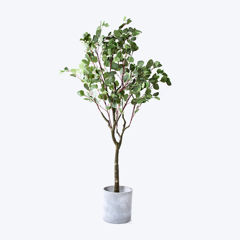 Chậu cây xanh giả Eucalyptus-m