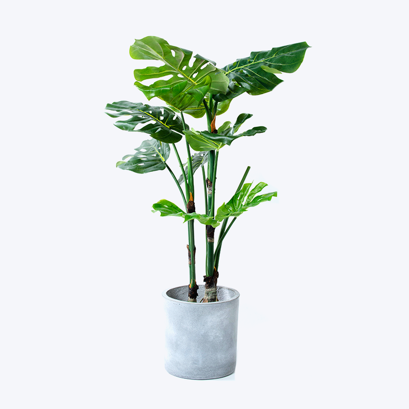 Chậu cây xanh giả Monstera-s